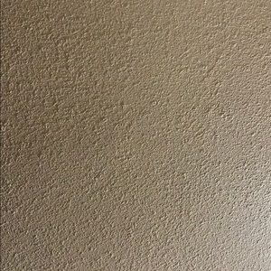 Meet your Posher, Janieya